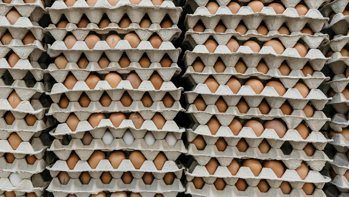 Stacks of eggs in egg flats