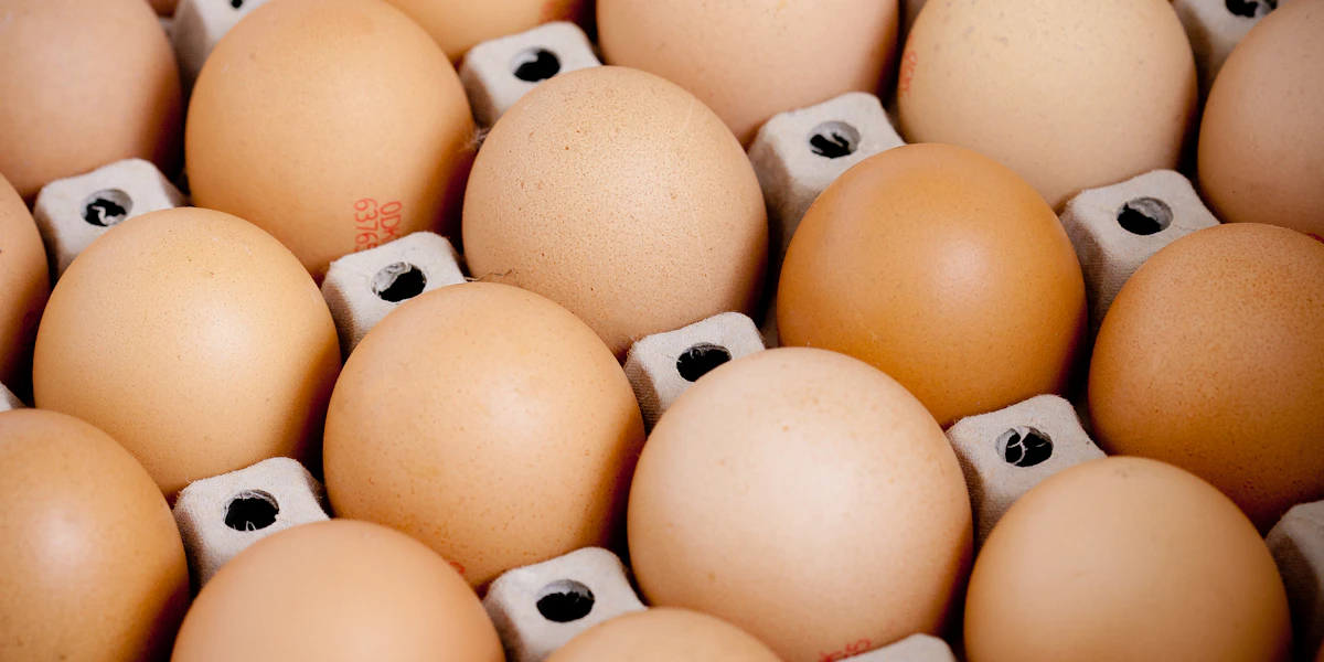Brown eggs in a carton